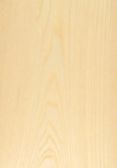 Edgeband USA Real Wood Edgeband Ash 7/8"