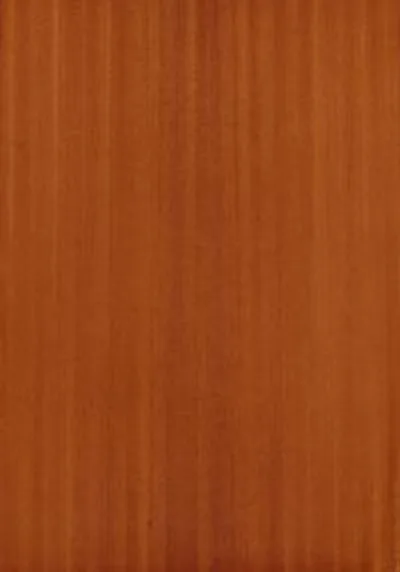 Edgeband USA Real Wood Edgeband Sapele 7/8"