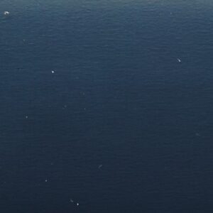 Rehau 15/16" X 600' Nocturne