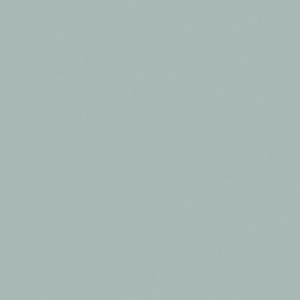 Fossil 5349-58 15/16″ x 300′ x 1mm Edgebanding – ST9037