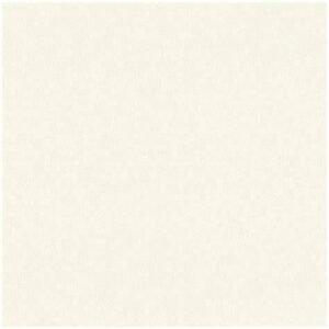Antique White 15/16″ x 300′ x 1mm Edgebanding – SX14161