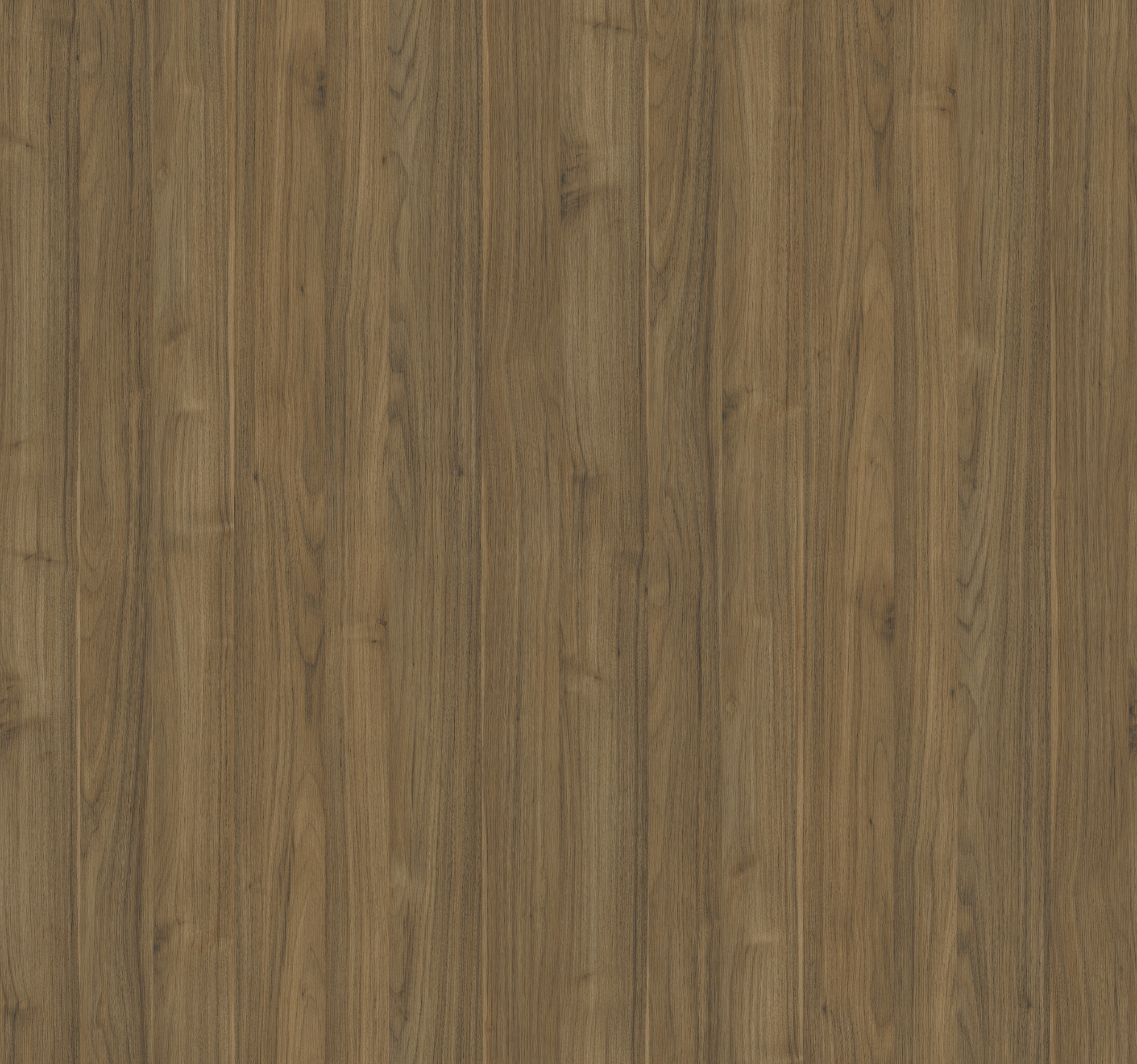 Dalia 15/16" x 600' x .018" Edgebanding – K24 | WIL3767
